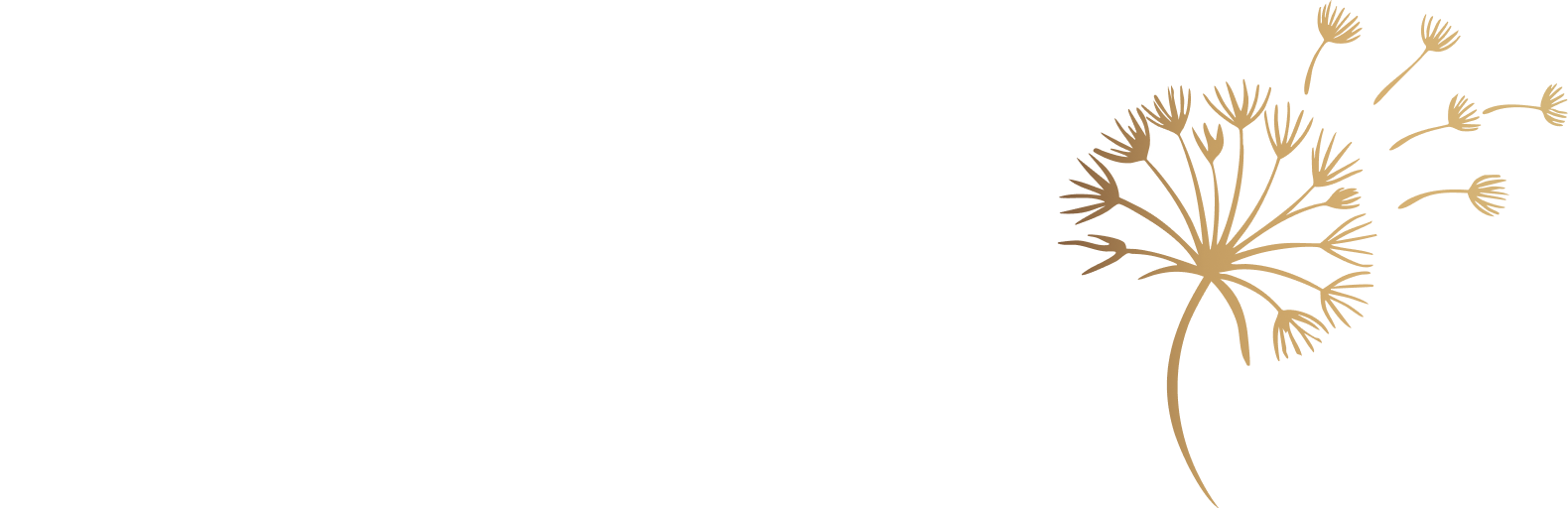SeedVision Logo